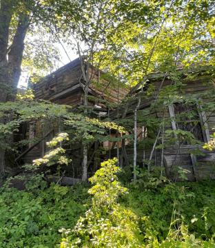д. Новая, храм Успения Пресвятой Богородицы