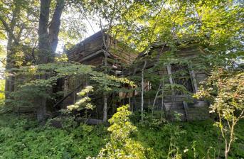 д. Новая, храм Успения Пресвятой Богородицы