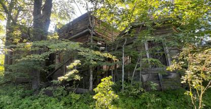 д. Новая, храм Успения Пресвятой Богородицы