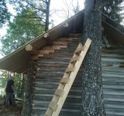 Бабинская технические