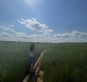 Андреевсское художественные