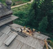 технические Вирма 2025-1