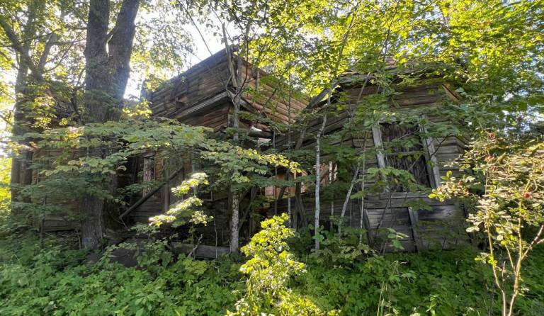 д. Новая, храм Успения Пресвятой Богородицы